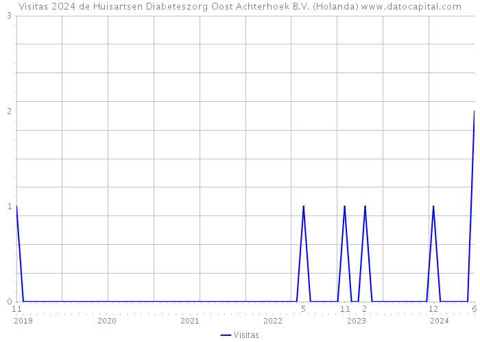 Visitas 2024 de Huisartsen Diabeteszorg Oost Achterhoek B.V. (Holanda) 