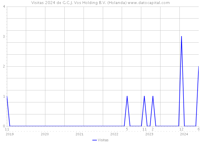 Visitas 2024 de G.C.J. Vos Holding B.V. (Holanda) 