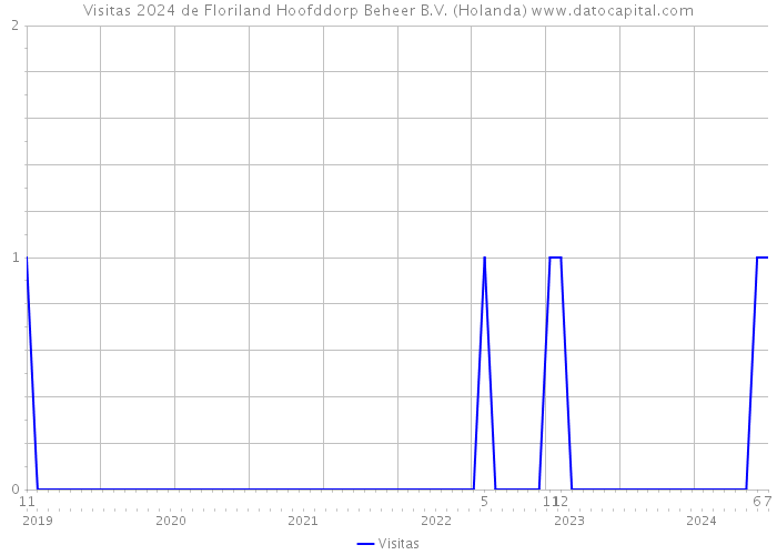 Visitas 2024 de Floriland Hoofddorp Beheer B.V. (Holanda) 