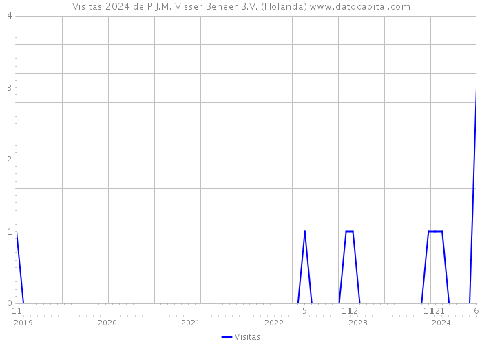 Visitas 2024 de P.J.M. Visser Beheer B.V. (Holanda) 