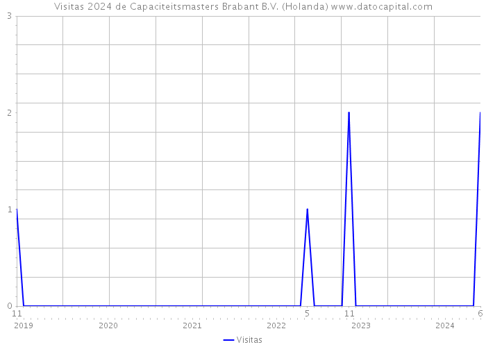 Visitas 2024 de Capaciteitsmasters Brabant B.V. (Holanda) 