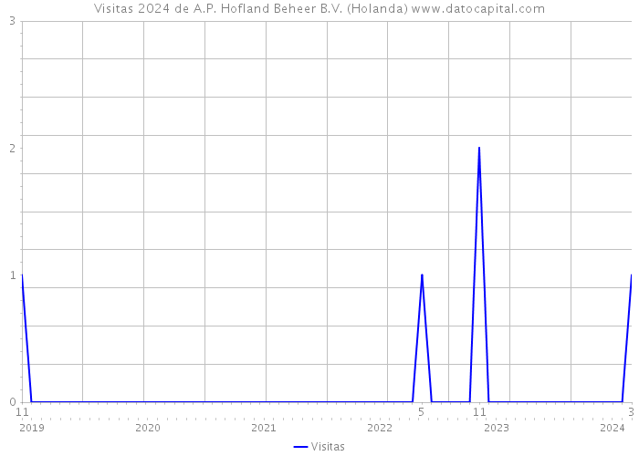 Visitas 2024 de A.P. Hofland Beheer B.V. (Holanda) 