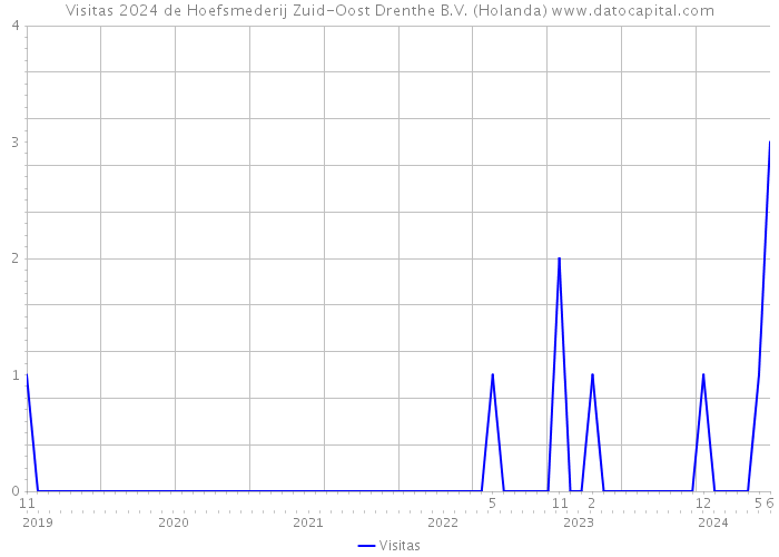 Visitas 2024 de Hoefsmederij Zuid-Oost Drenthe B.V. (Holanda) 