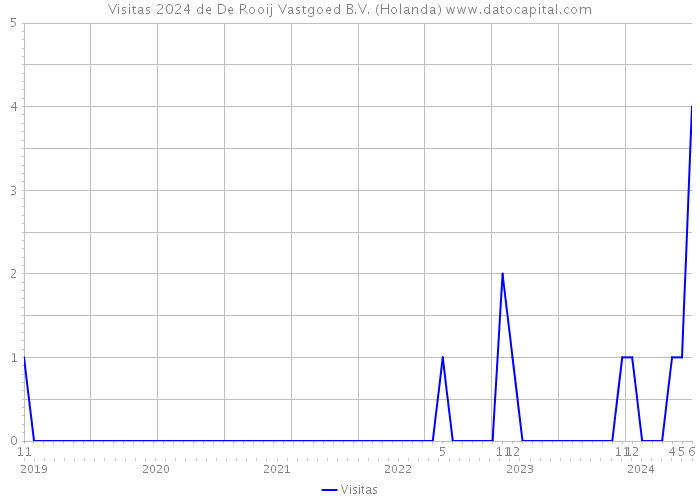 Visitas 2024 de De Rooij Vastgoed B.V. (Holanda) 