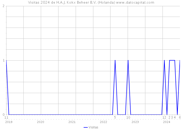 Visitas 2024 de H.A.J. Kokx Beheer B.V. (Holanda) 