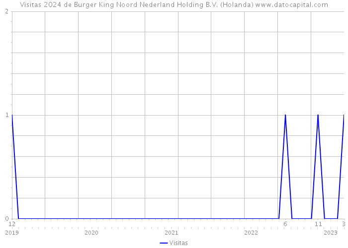 Visitas 2024 de Burger King Noord Nederland Holding B.V. (Holanda) 