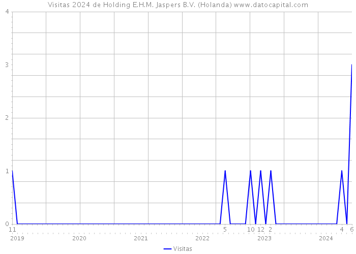 Visitas 2024 de Holding E.H.M. Jaspers B.V. (Holanda) 