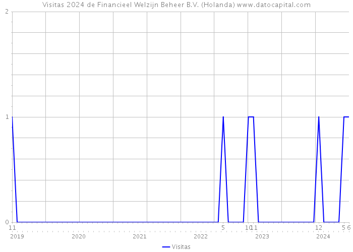 Visitas 2024 de Financieel Welzijn Beheer B.V. (Holanda) 