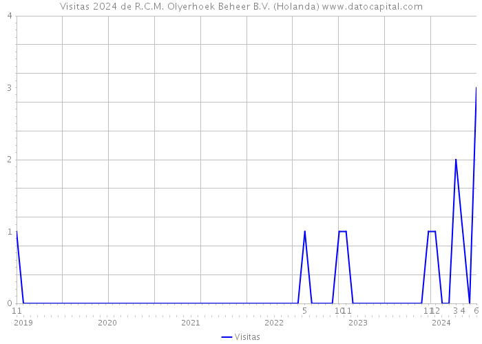 Visitas 2024 de R.C.M. Olyerhoek Beheer B.V. (Holanda) 