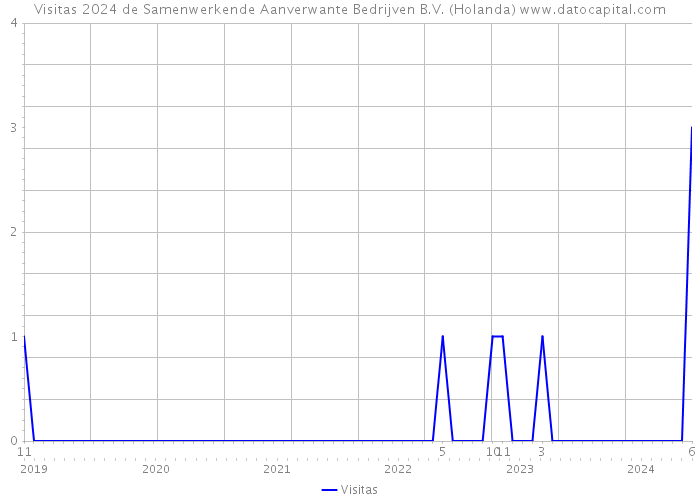 Visitas 2024 de Samenwerkende Aanverwante Bedrijven B.V. (Holanda) 