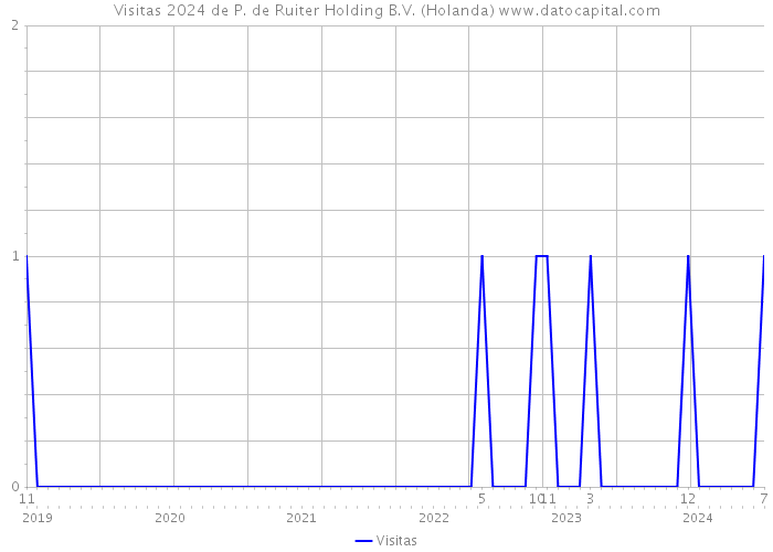 Visitas 2024 de P. de Ruiter Holding B.V. (Holanda) 