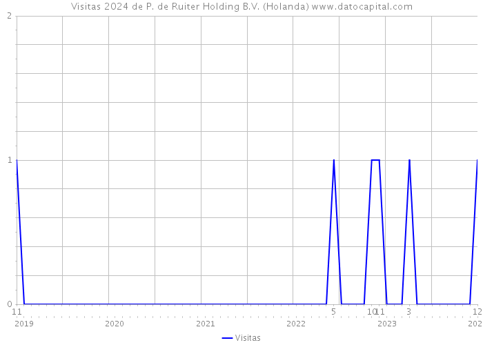 Visitas 2024 de P. de Ruiter Holding B.V. (Holanda) 