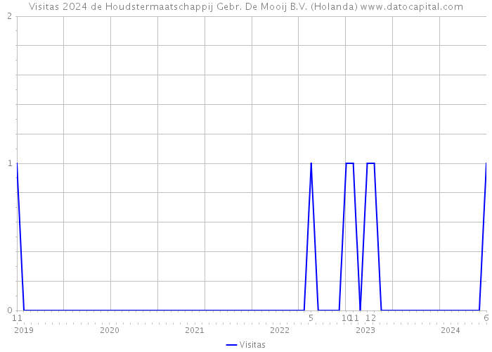 Visitas 2024 de Houdstermaatschappij Gebr. De Mooij B.V. (Holanda) 