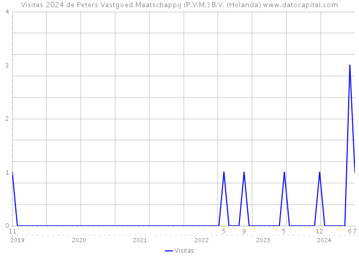 Visitas 2024 de Peters Vastgoed Maatschappij (P.V.M.) B.V. (Holanda) 