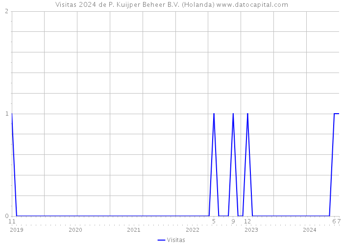 Visitas 2024 de P. Kuijper Beheer B.V. (Holanda) 