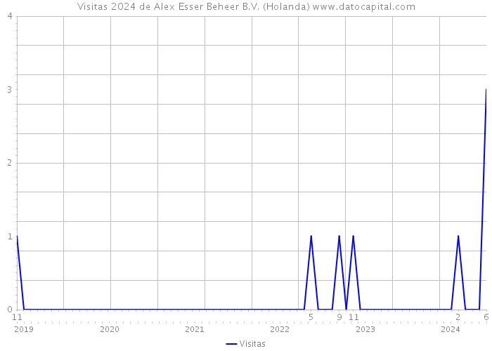 Visitas 2024 de Alex Esser Beheer B.V. (Holanda) 