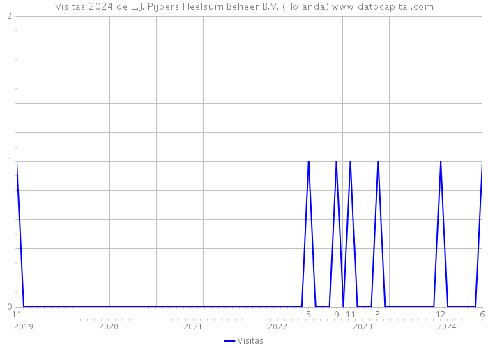 Visitas 2024 de E.J. Pijpers Heelsum Beheer B.V. (Holanda) 