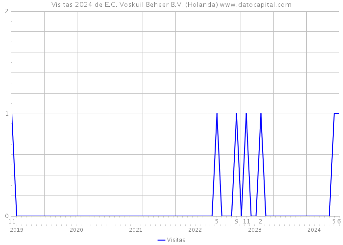Visitas 2024 de E.C. Voskuil Beheer B.V. (Holanda) 