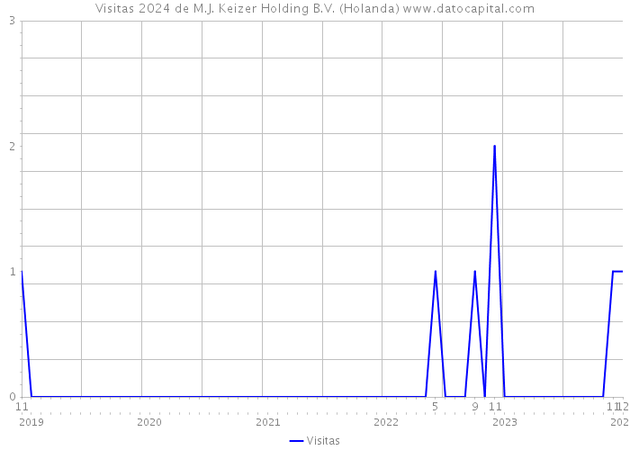 Visitas 2024 de M.J. Keizer Holding B.V. (Holanda) 