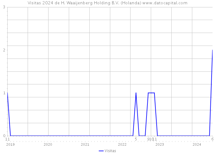 Visitas 2024 de H. Waaijenberg Holding B.V. (Holanda) 