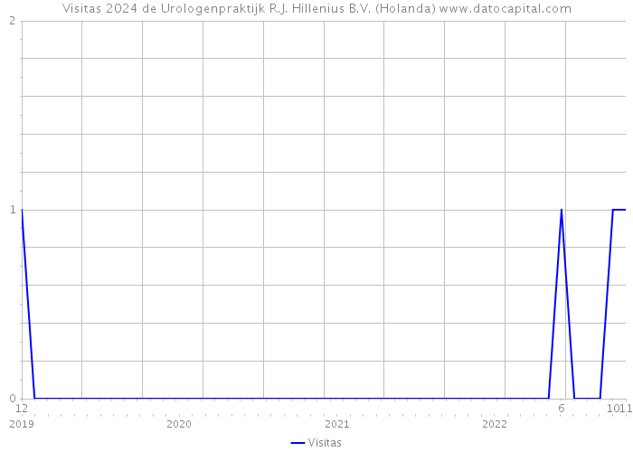 Visitas 2024 de Urologenpraktijk R.J. Hillenius B.V. (Holanda) 