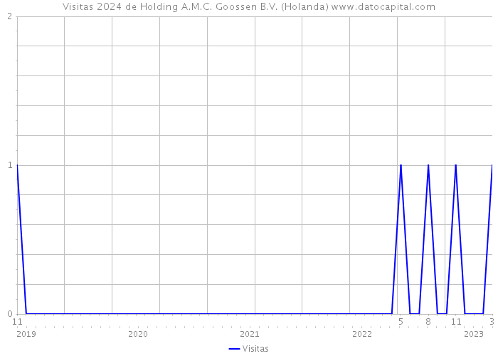 Visitas 2024 de Holding A.M.C. Goossen B.V. (Holanda) 