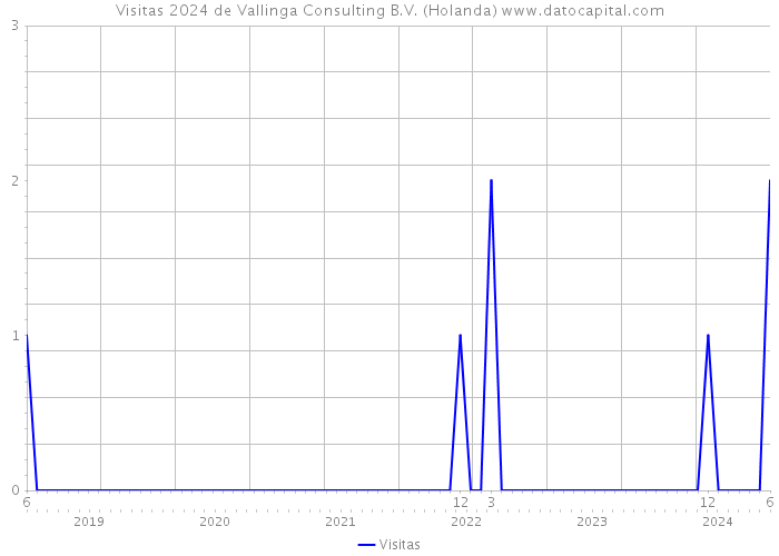 Visitas 2024 de Vallinga Consulting B.V. (Holanda) 