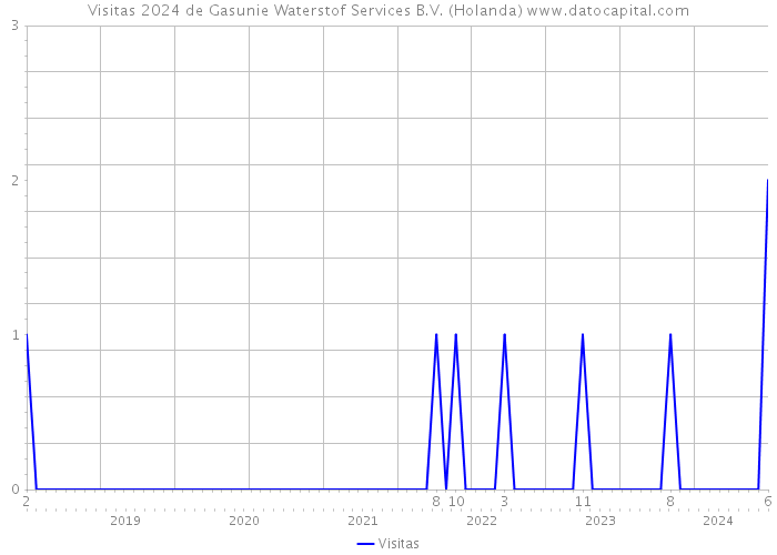 Visitas 2024 de Gasunie Waterstof Services B.V. (Holanda) 