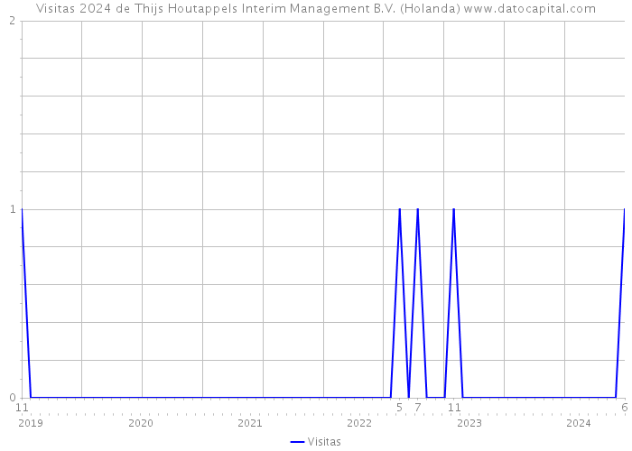 Visitas 2024 de Thijs Houtappels Interim Management B.V. (Holanda) 