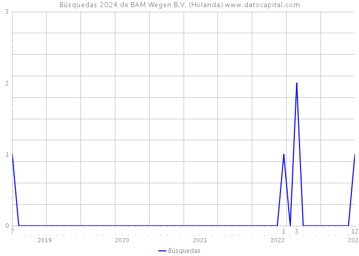 Búsquedas 2024 de BAM Wegen B.V. (Holanda) 