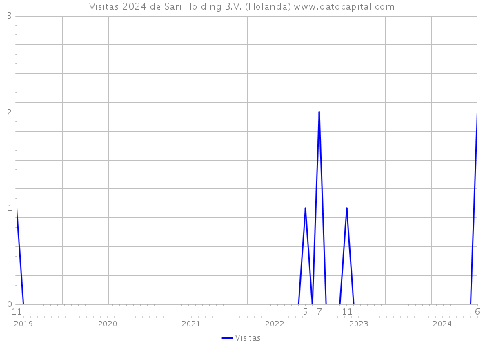 Visitas 2024 de Sari Holding B.V. (Holanda) 