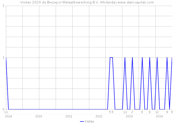 Visitas 2024 de Biezepol Metaalbewerking B.V. (Holanda) 
