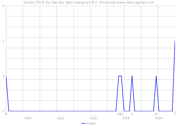 Visitas 2024 de Van der Salm Vastgoed B.V. (Holanda) 