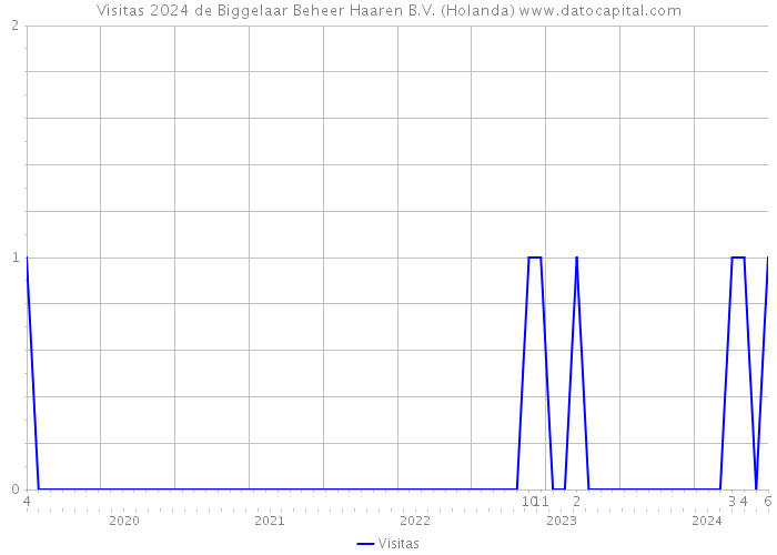 Visitas 2024 de Biggelaar Beheer Haaren B.V. (Holanda) 