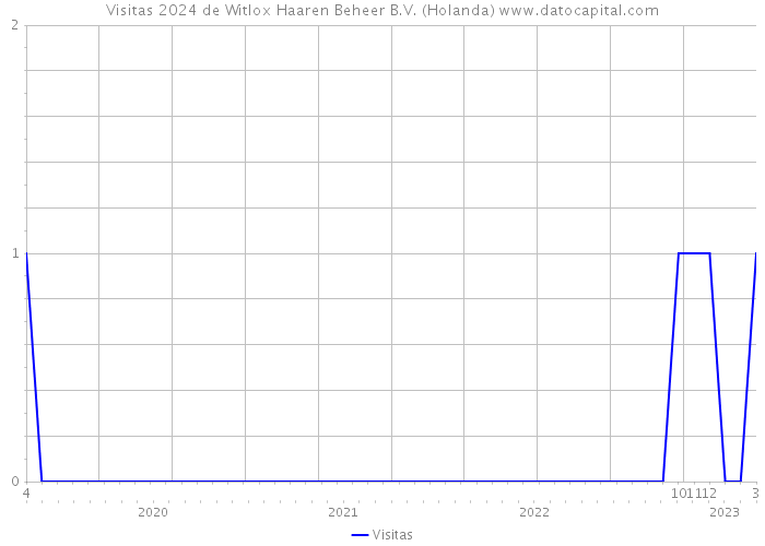 Visitas 2024 de Witlox Haaren Beheer B.V. (Holanda) 