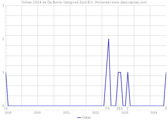 Visitas 2024 de De Bunte Vastgoed Zuid B.V. (Holanda) 