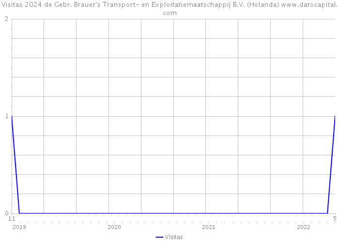 Visitas 2024 de Gebr. Brauer's Transport- en Exploitatiemaatschappij B.V. (Holanda) 