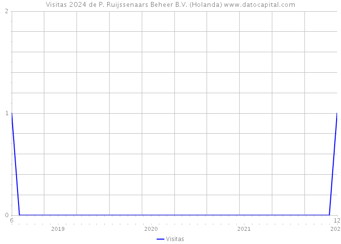 Visitas 2024 de P. Ruijssenaars Beheer B.V. (Holanda) 