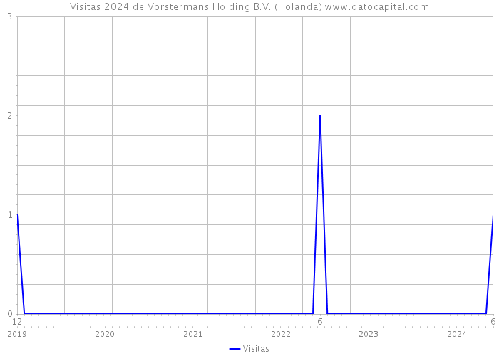 Visitas 2024 de Vorstermans Holding B.V. (Holanda) 