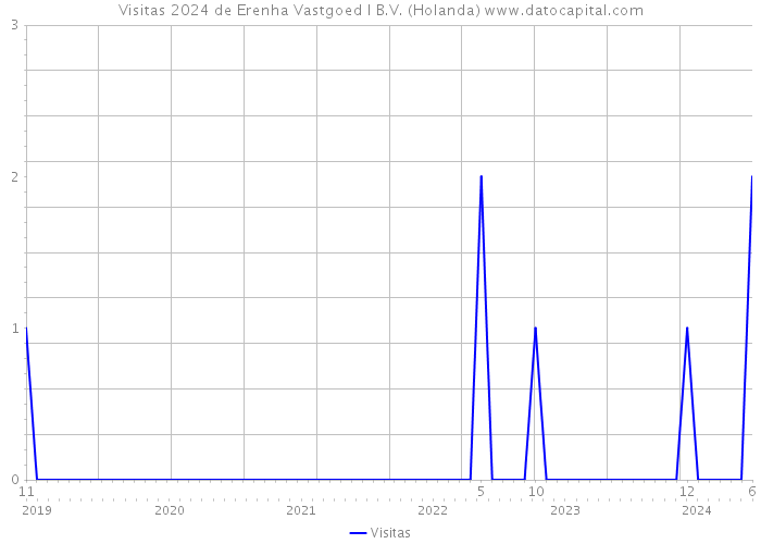 Visitas 2024 de Erenha Vastgoed I B.V. (Holanda) 