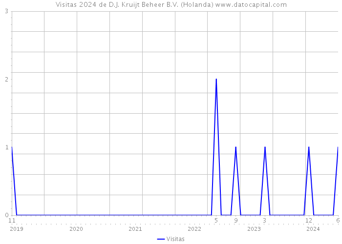 Visitas 2024 de D.J. Kruijt Beheer B.V. (Holanda) 