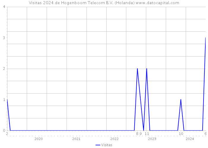 Visitas 2024 de Hogenboom Telecom B.V. (Holanda) 