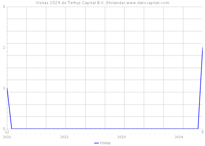 Visitas 2024 de Tethys Capital B.V. (Holanda) 