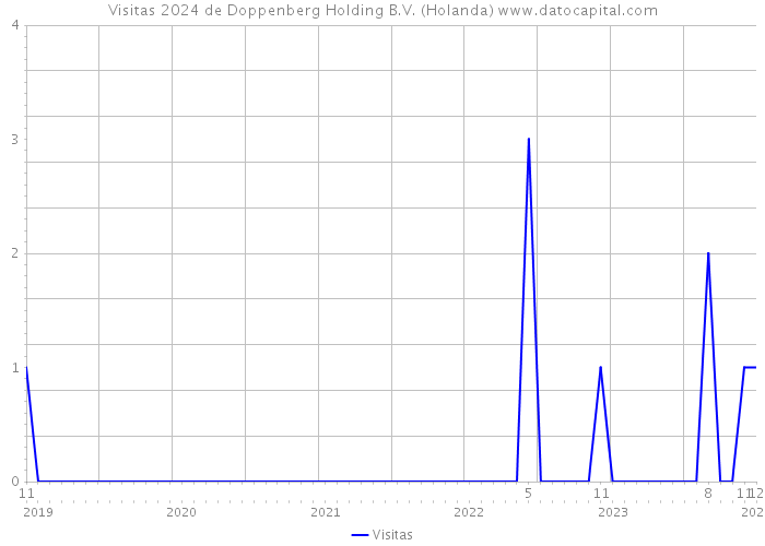 Visitas 2024 de Doppenberg Holding B.V. (Holanda) 