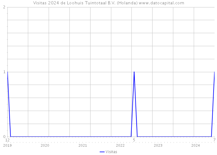 Visitas 2024 de Loohuis Tuintotaal B.V. (Holanda) 