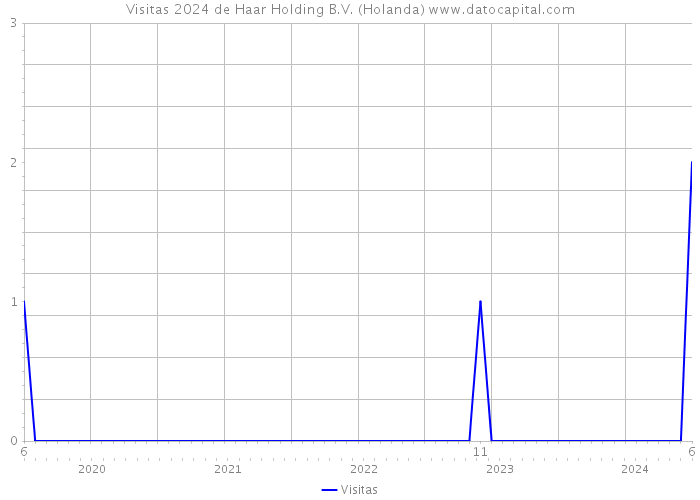 Visitas 2024 de Haar Holding B.V. (Holanda) 