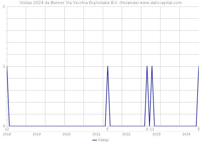 Visitas 2024 de Benner Via Vecchia Exploitatie B.V. (Holanda) 