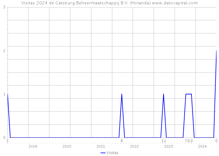 Visitas 2024 de Catsburg Beheermaatschappij B.V. (Holanda) 