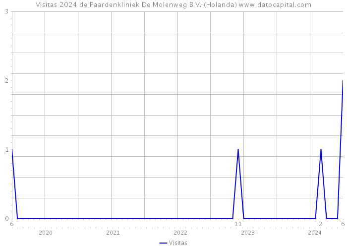 Visitas 2024 de Paardenkliniek De Molenweg B.V. (Holanda) 