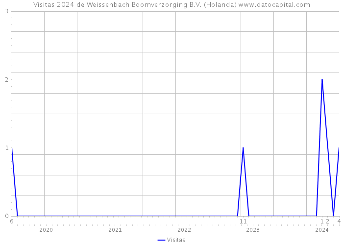 Visitas 2024 de Weissenbach Boomverzorging B.V. (Holanda) 